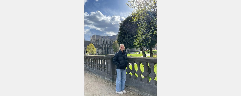 Image from University College Dublin