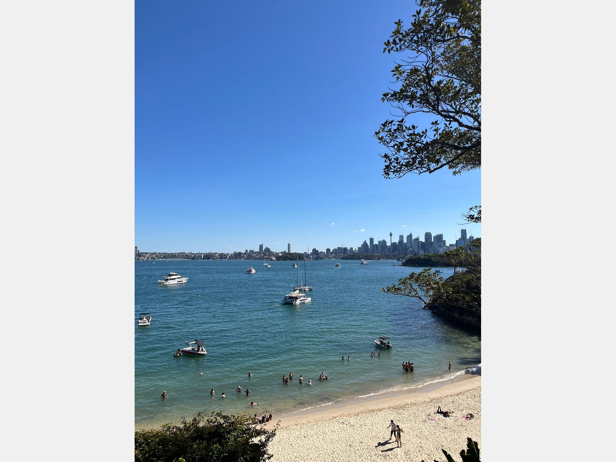 Image from The University of New South Wales