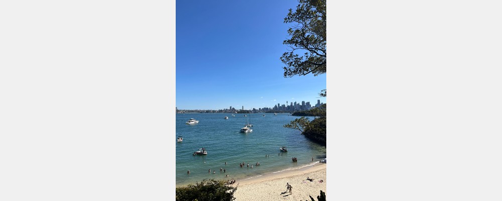 Image from The University of New South Wales