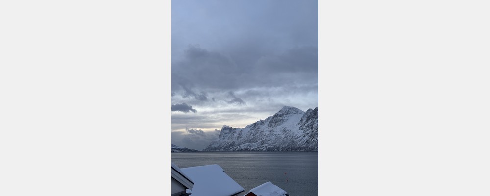 Image from Hanken School of Economics
