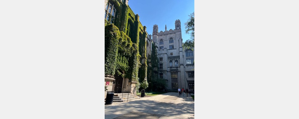 Image from The University of Chicago