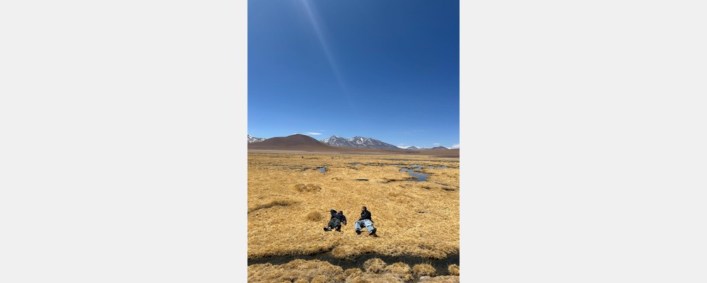 Image from Universidad de Chile