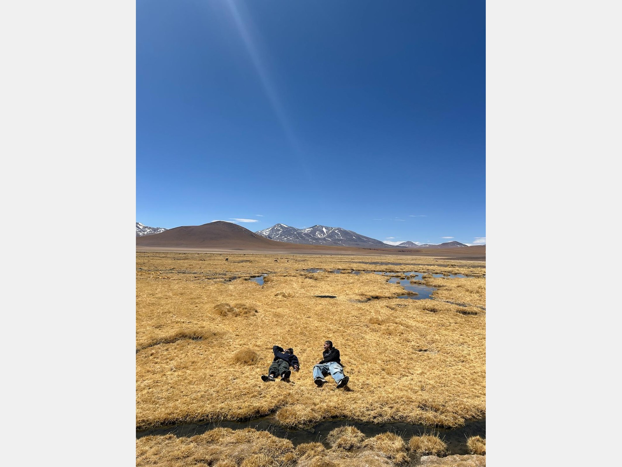 Image from Universidad de Chile