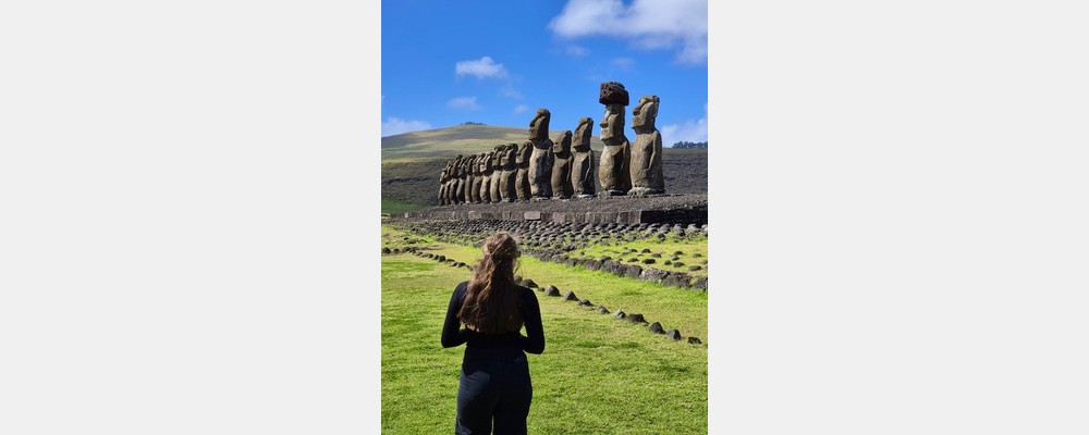 Image from Universidad de Chile