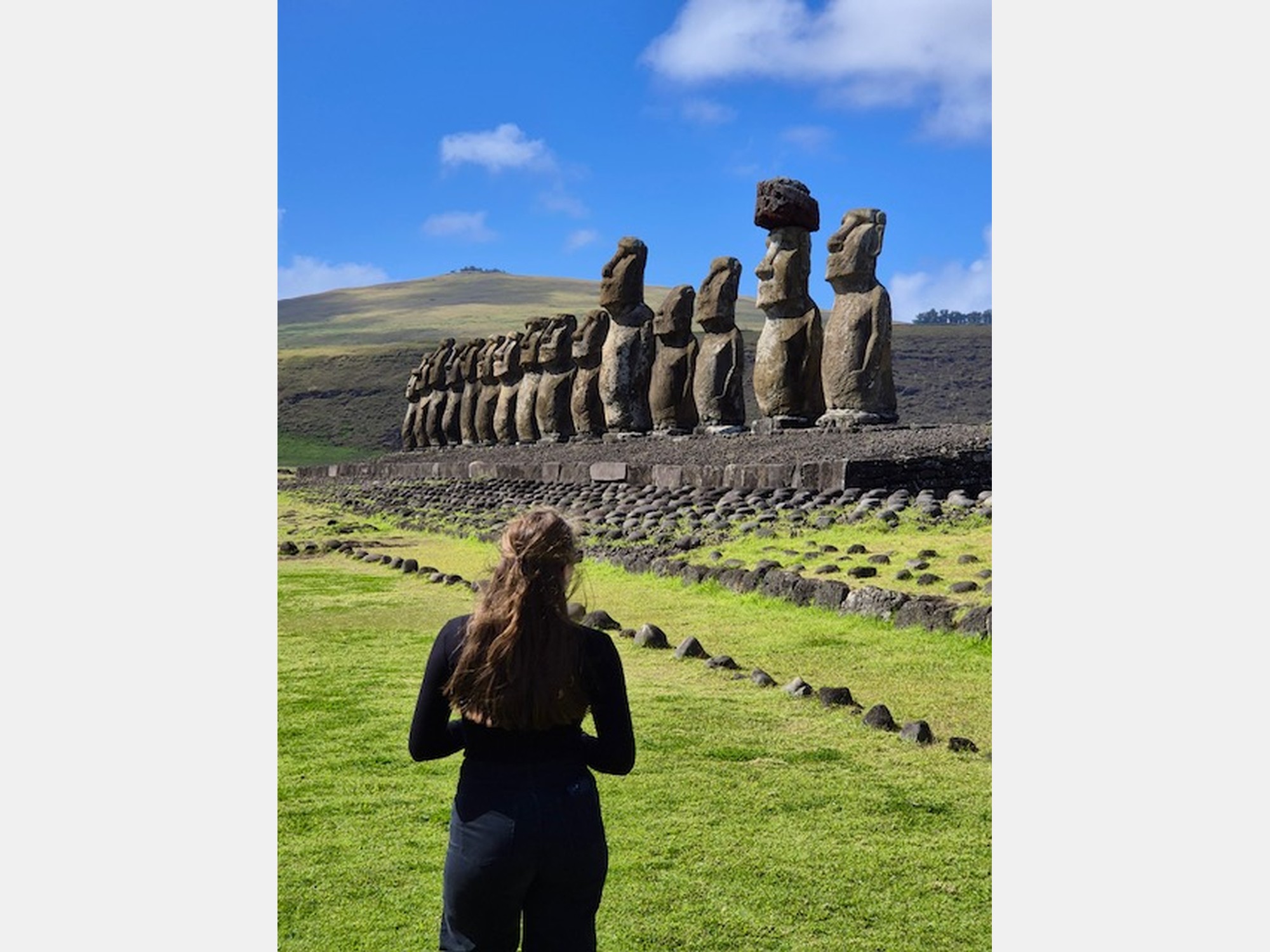 Image from Universidad de Chile
