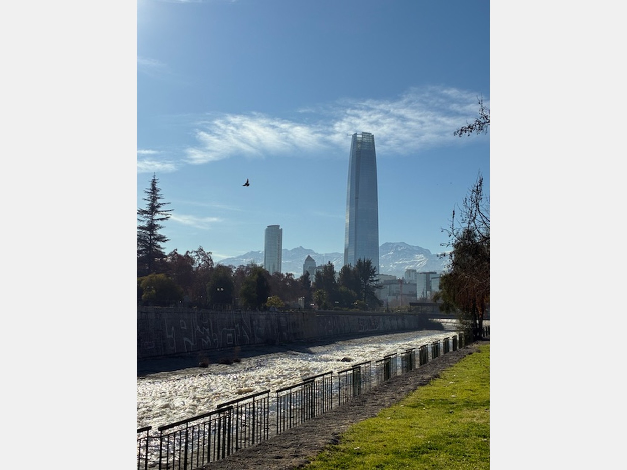 Image from Universidad de Chile