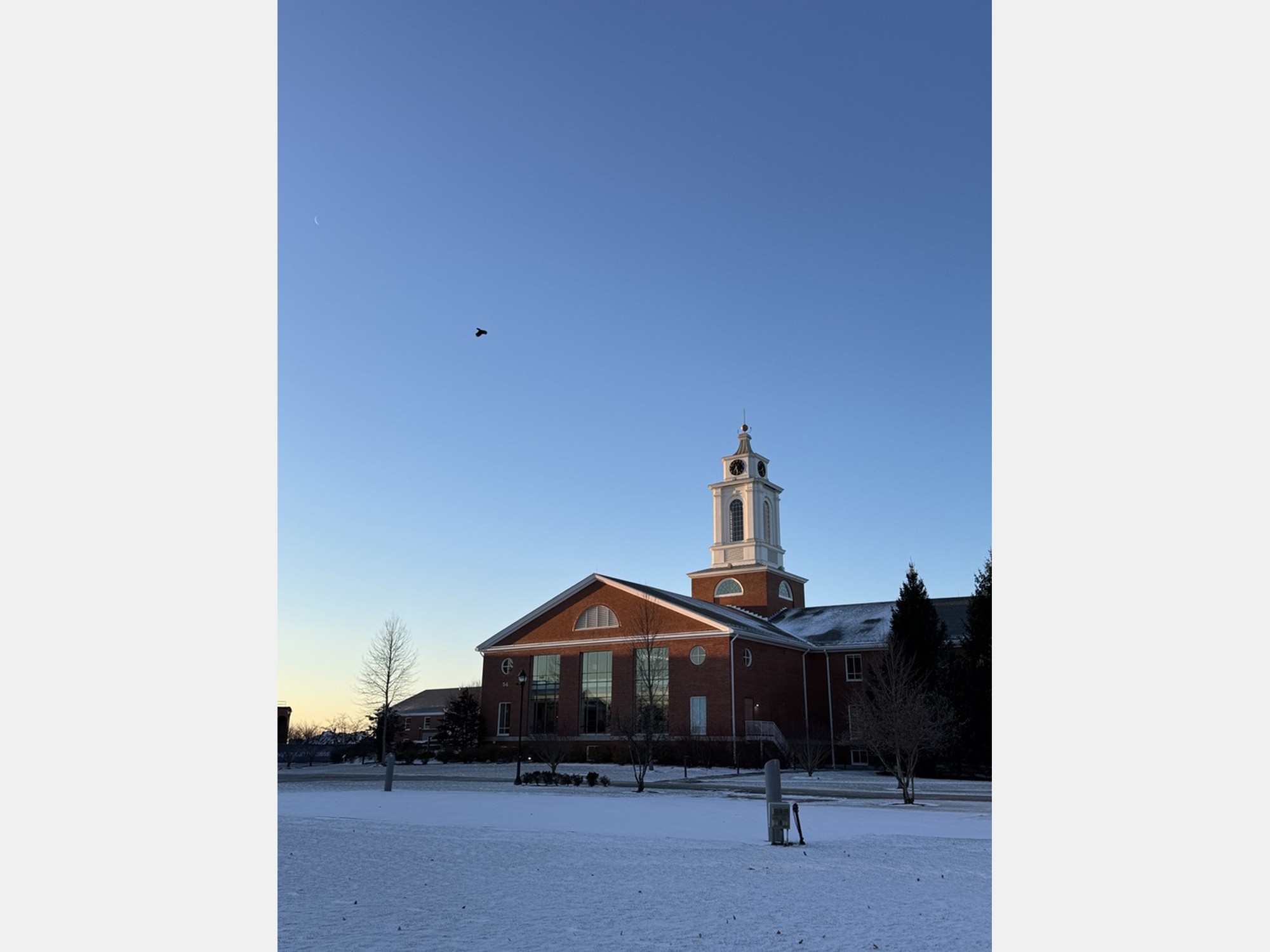 Image from Bentley University
