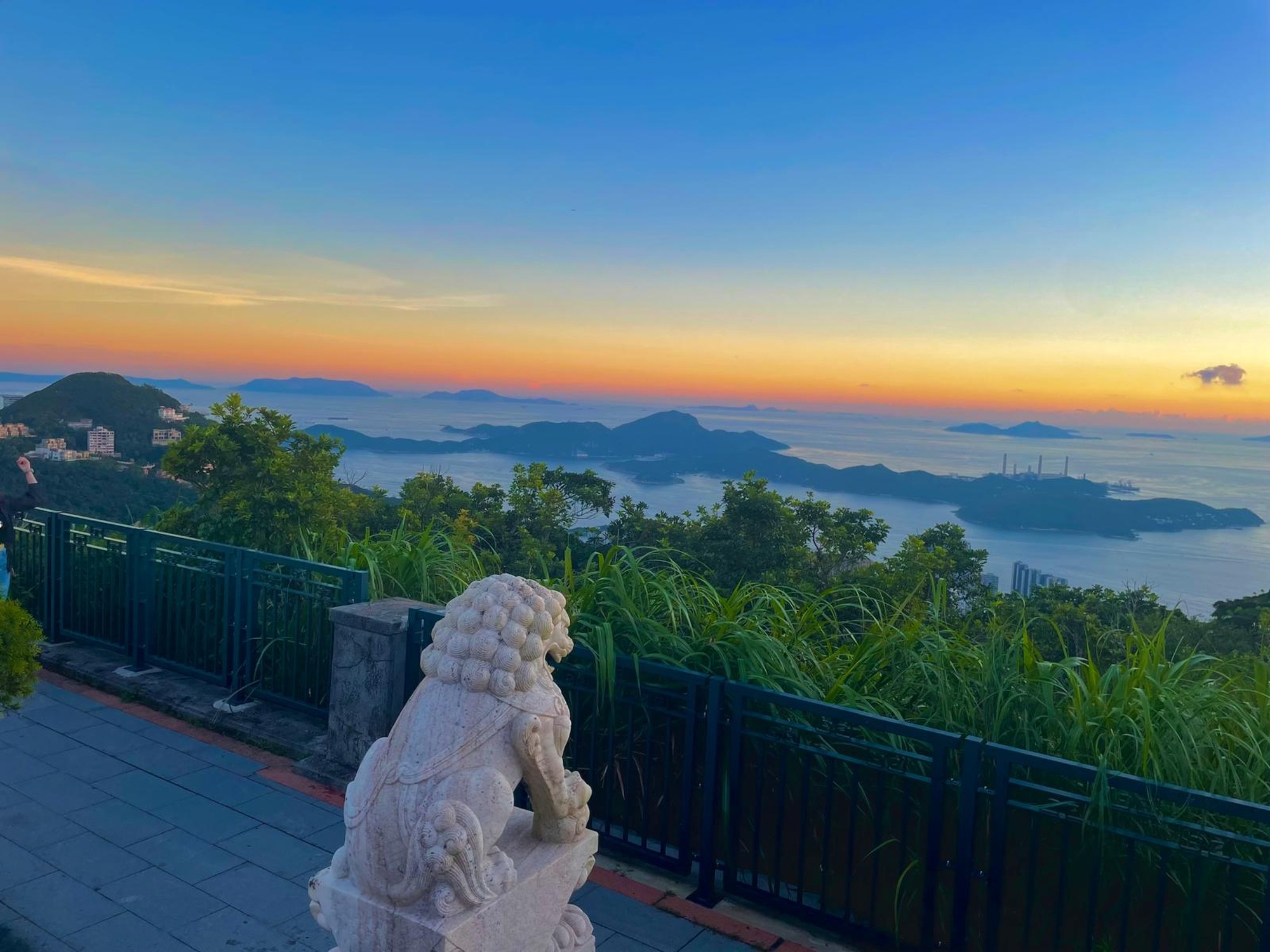 Image from The University of Hong Kong