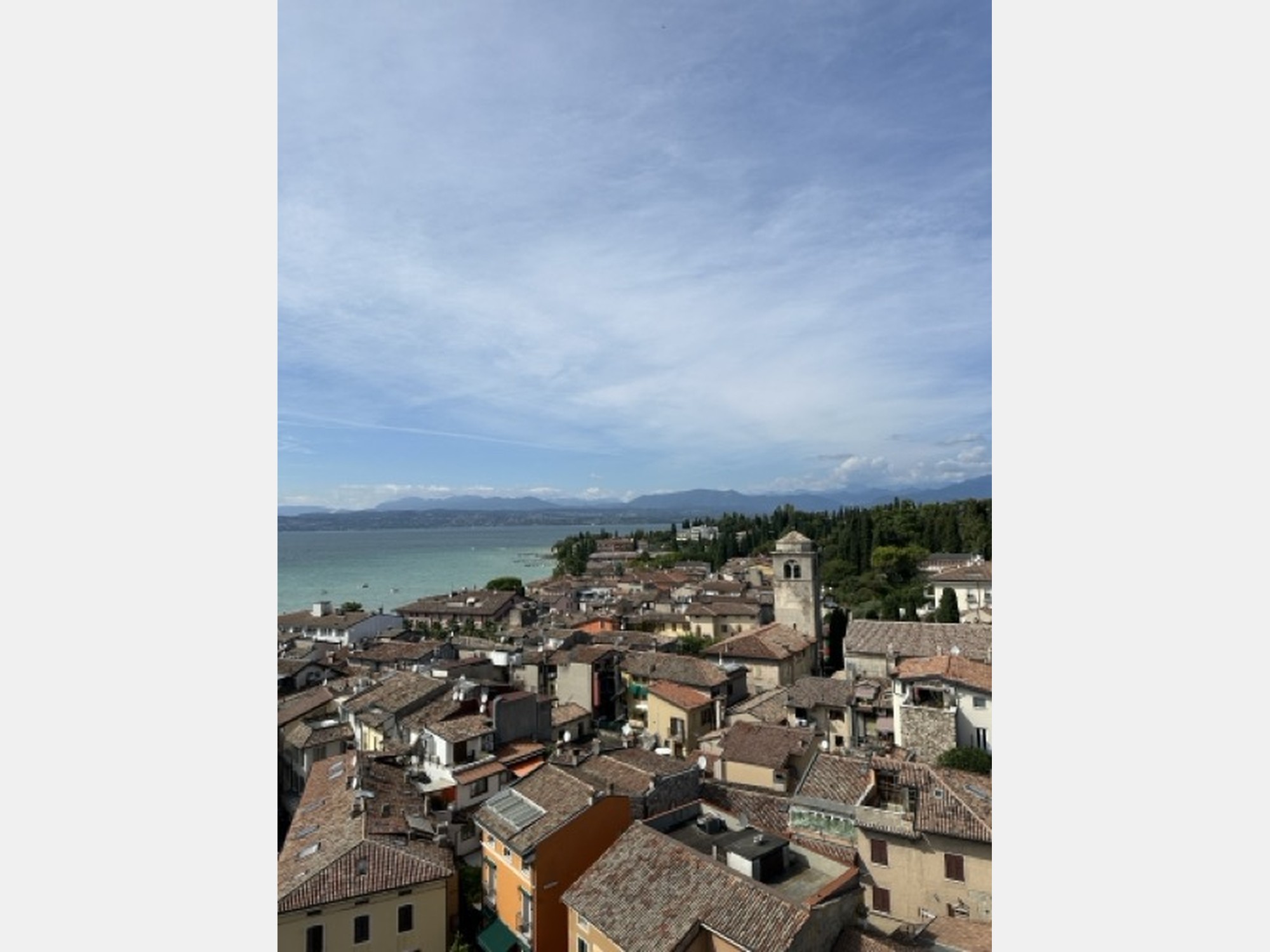 Image from Università Commerciale Luigi Bocconi