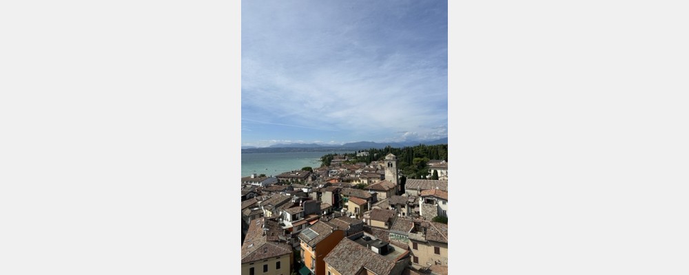 Image from Università Commerciale Luigi Bocconi