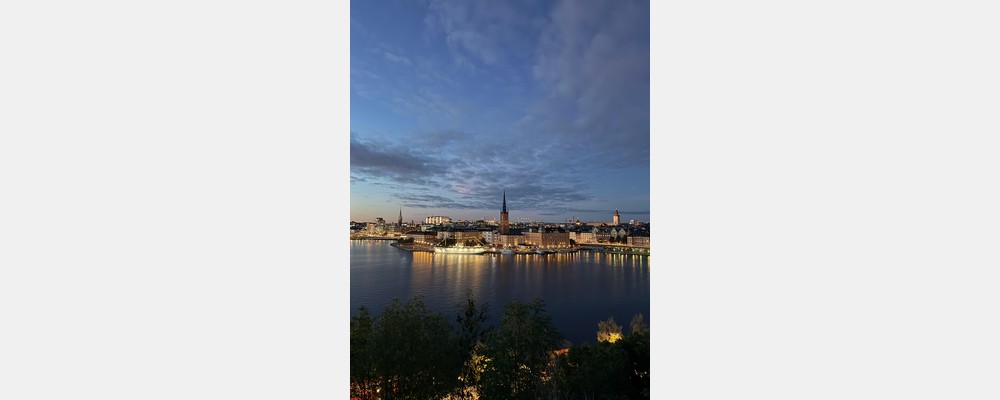 Image from Stockholm School of Economics