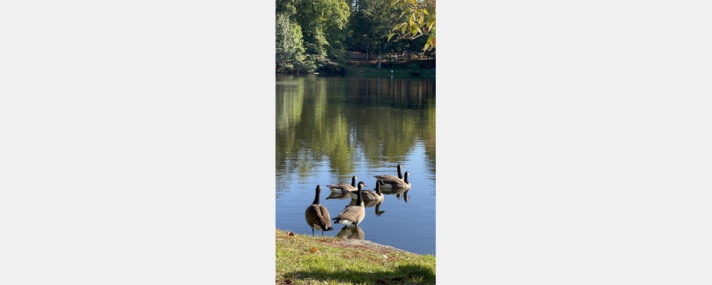 Image from University of Richmond