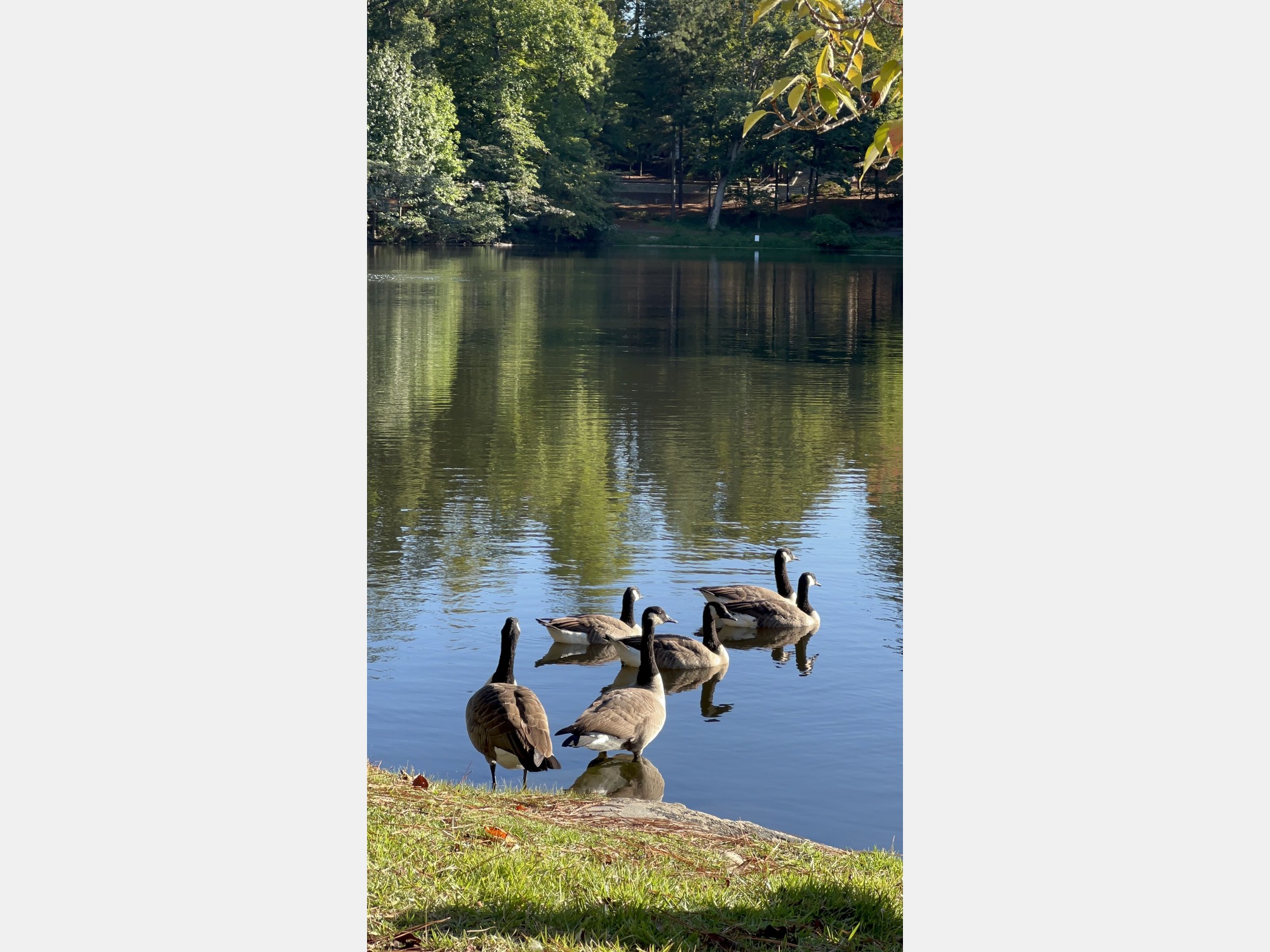 Image from University of Richmond