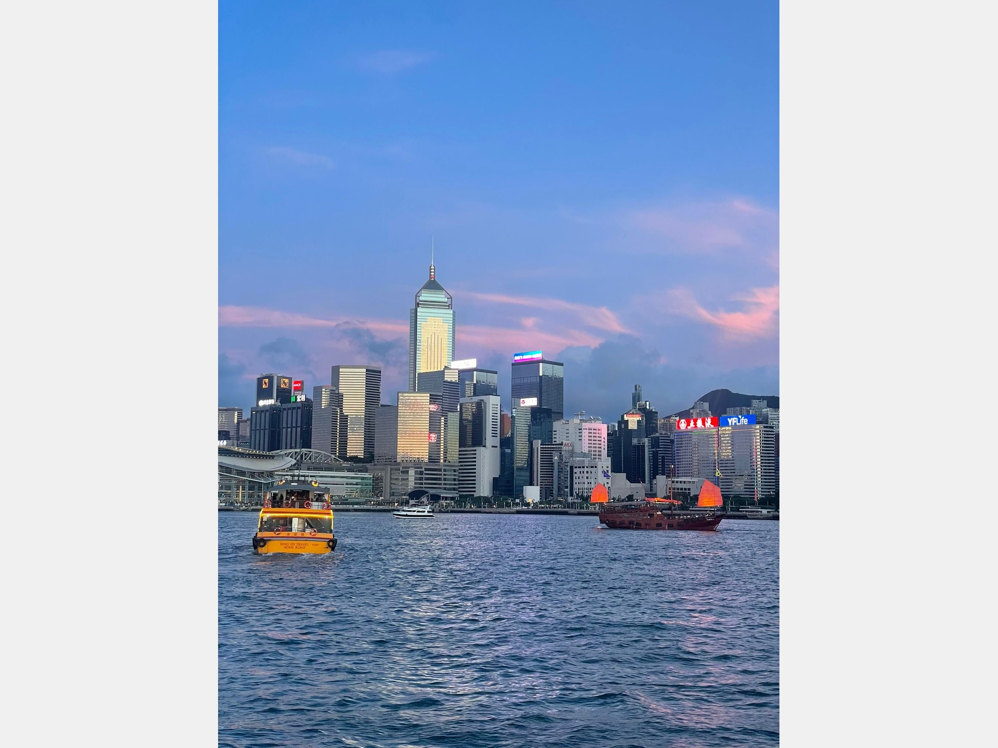 Image from The University of Hong Kong