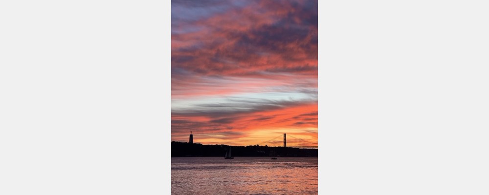 Image from Universidade Nova de Lisboa