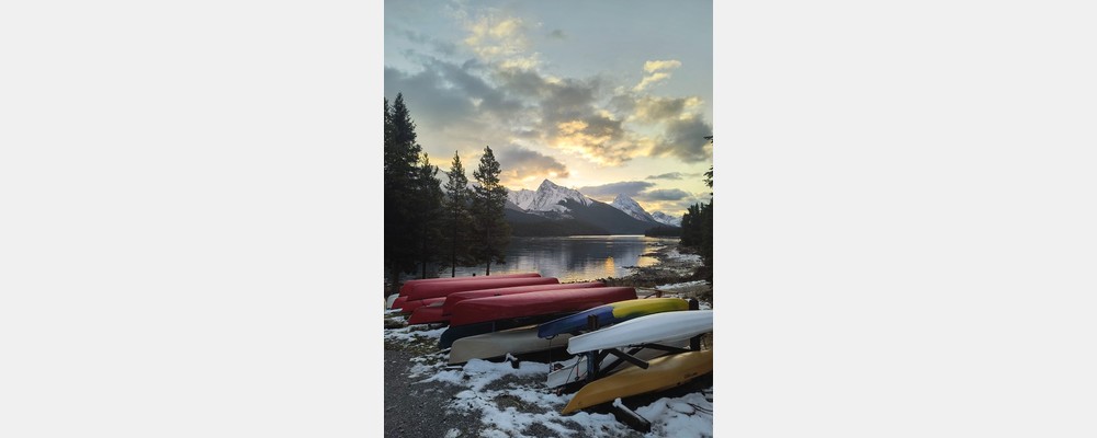 Image from University of Alberta