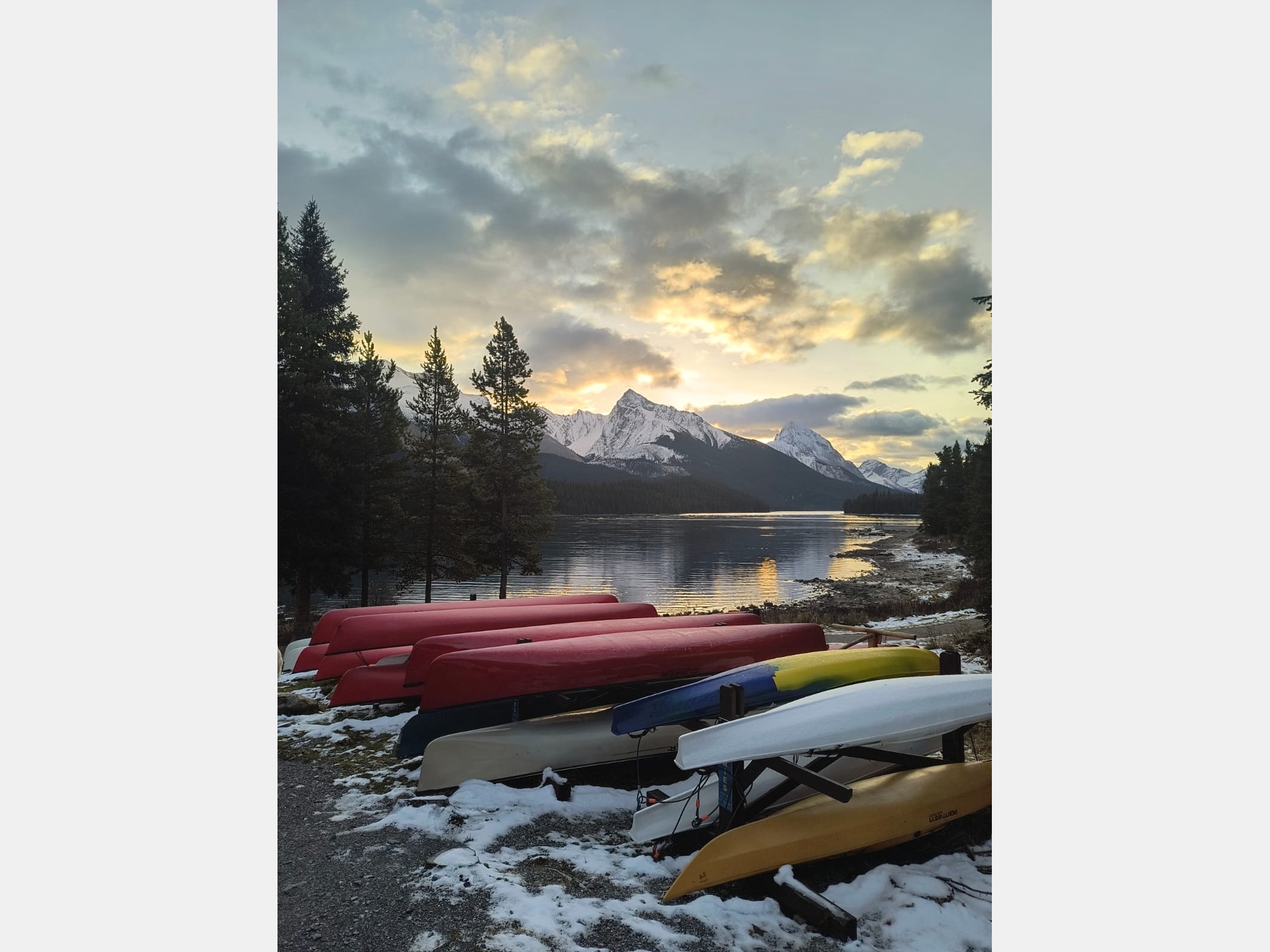 Image from University of Alberta