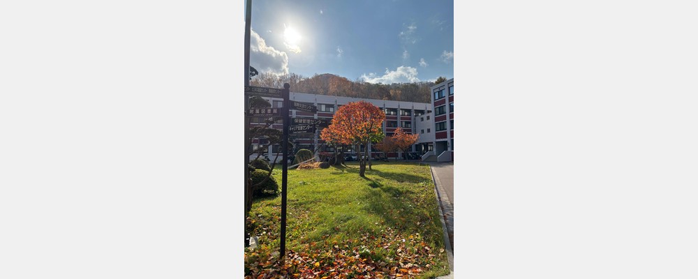 Image from Otaru University of Commerce