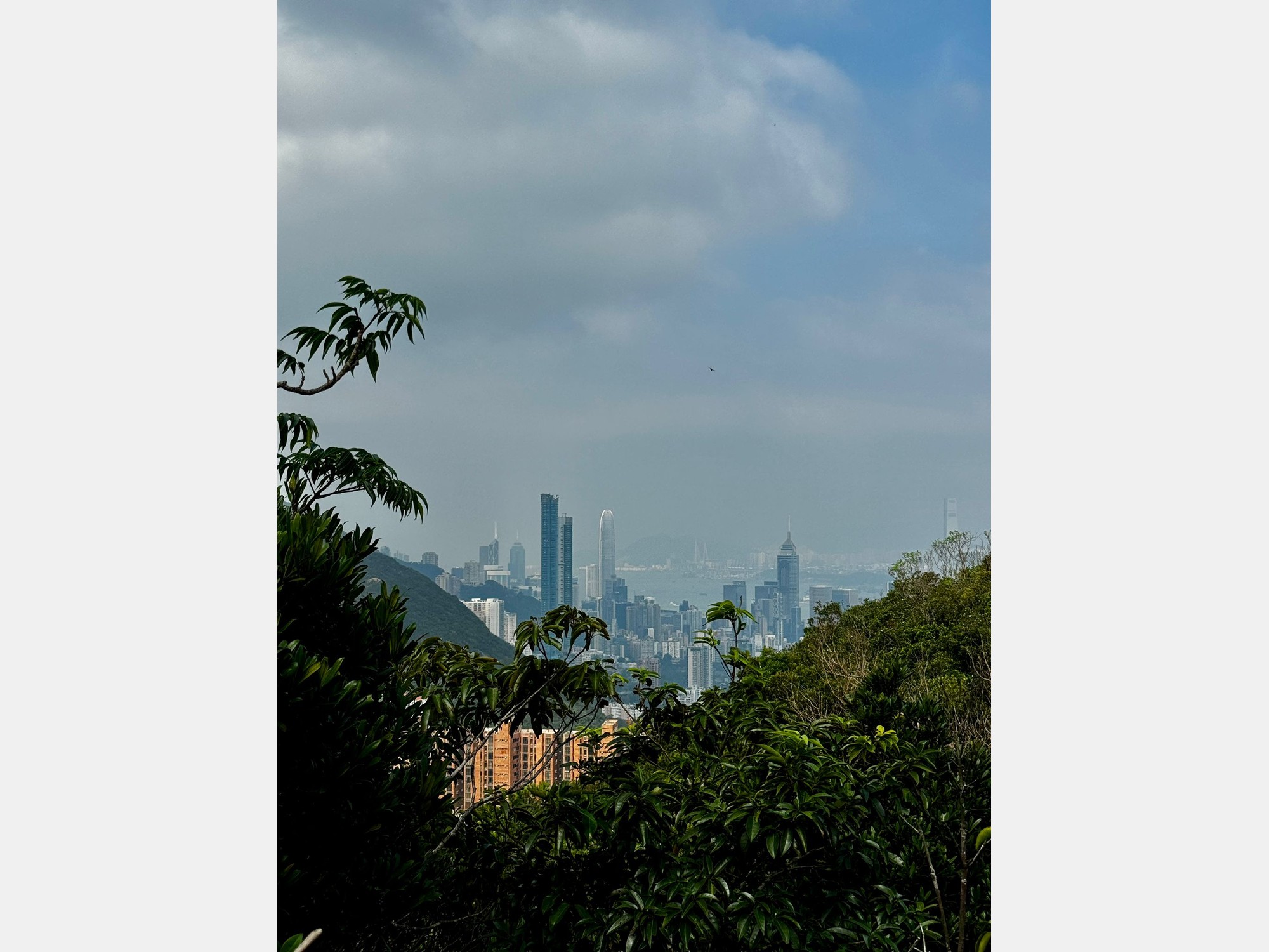 Image from City University of Hong Kong