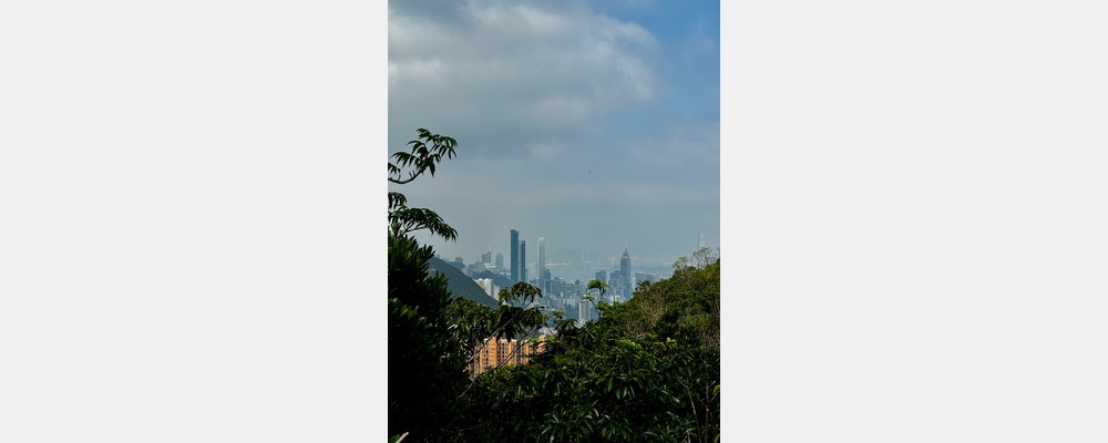 Image from City University of Hong Kong