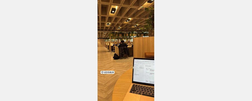 Image from University College Dublin