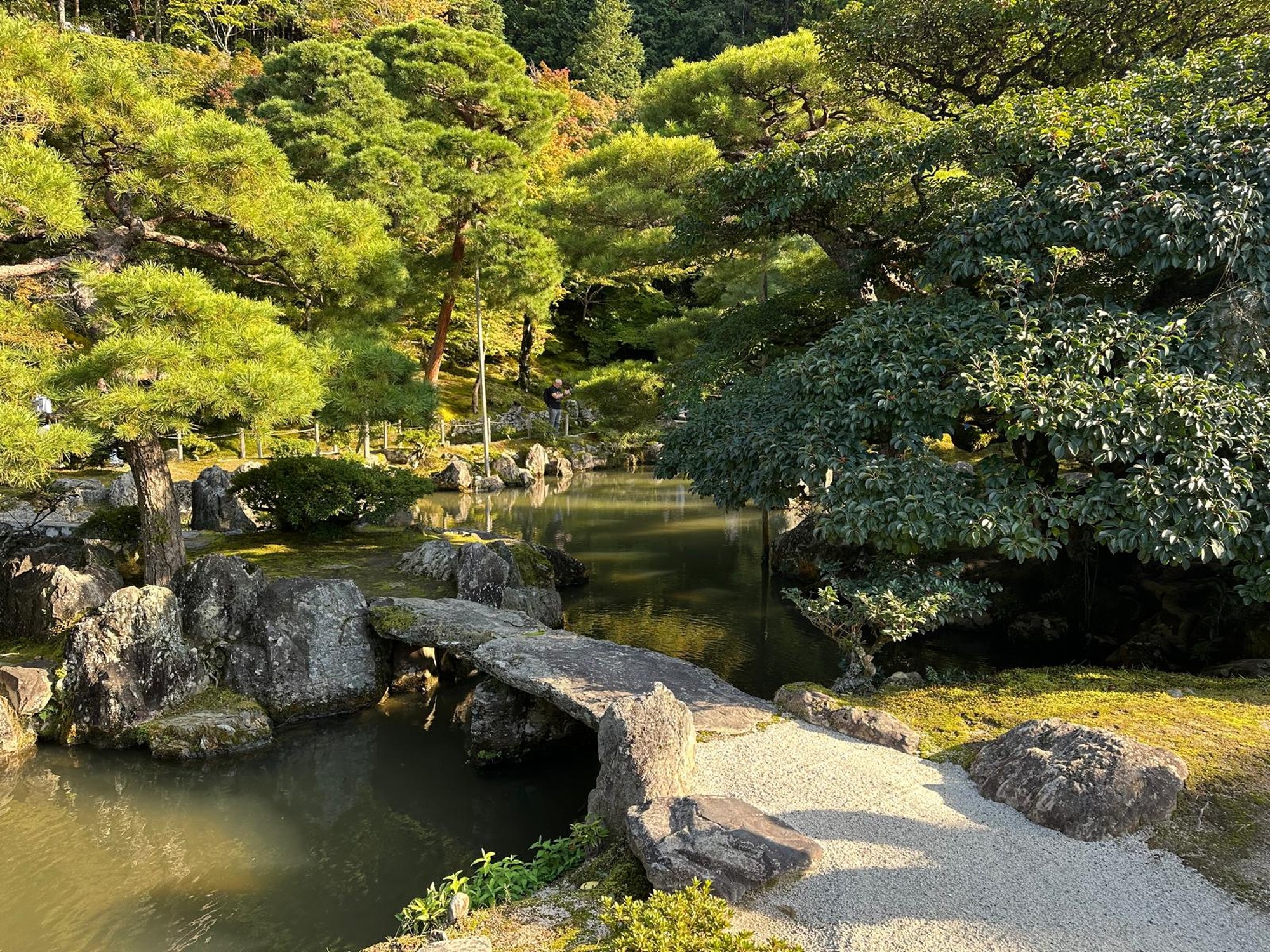 Image from Waseda University