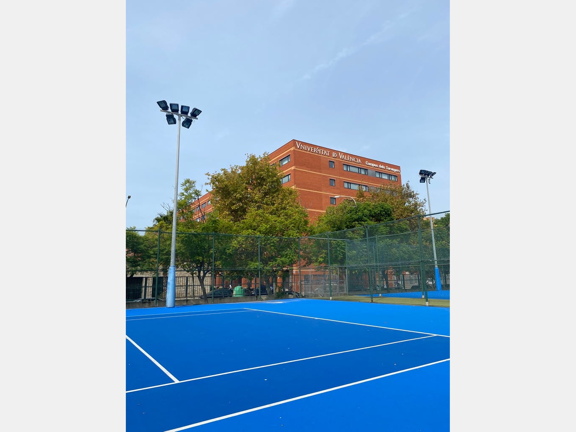 Image from Universitat de Valencia