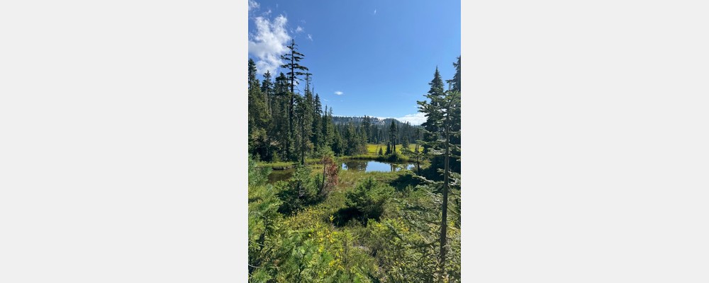 Image from University of Victoria