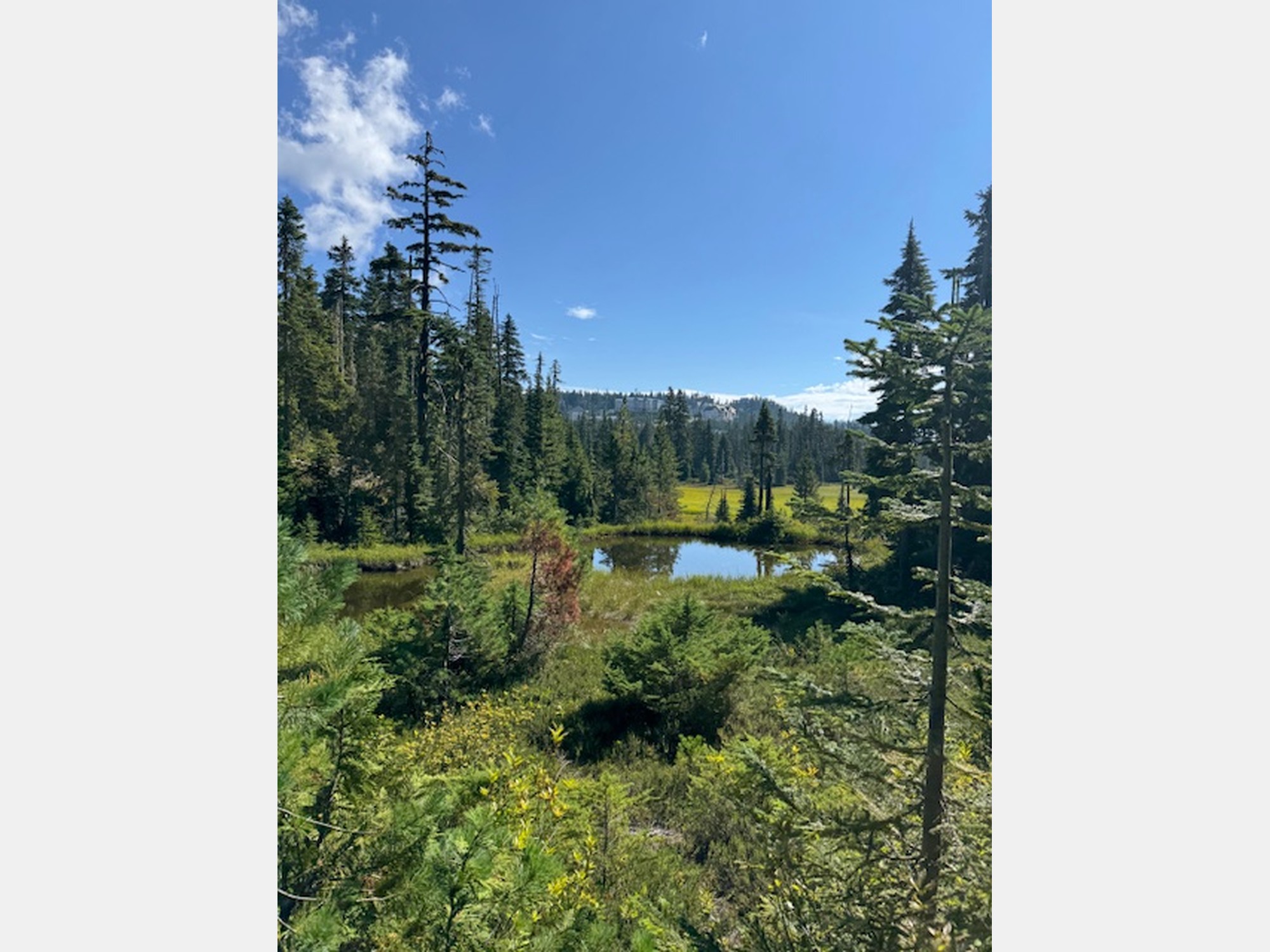 Image from University of Victoria