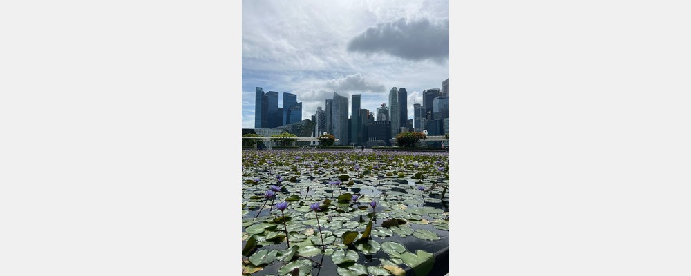 Image from Nanyang Technological University