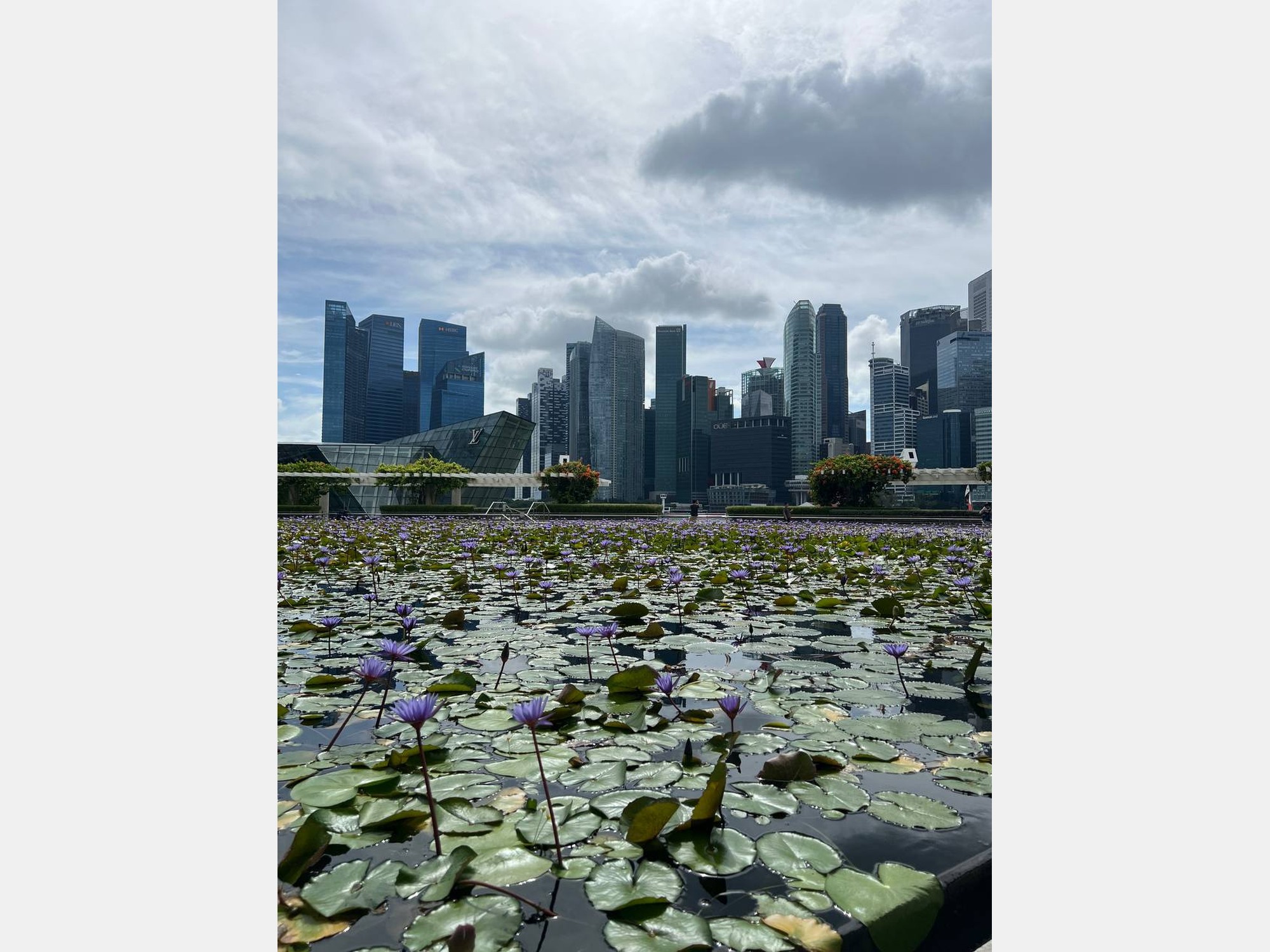 Image from Nanyang Technological University