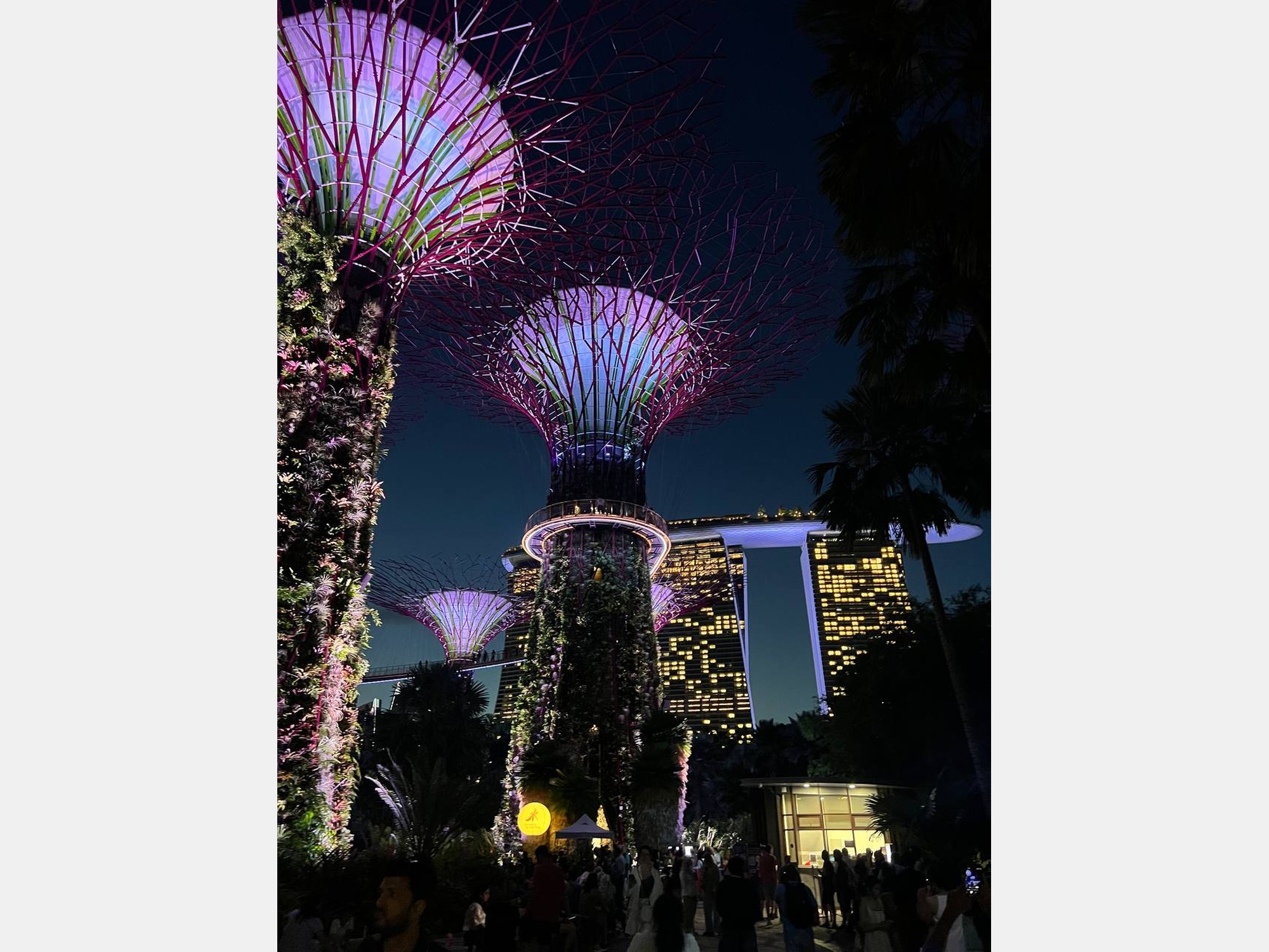 Image from Nanyang Technological University