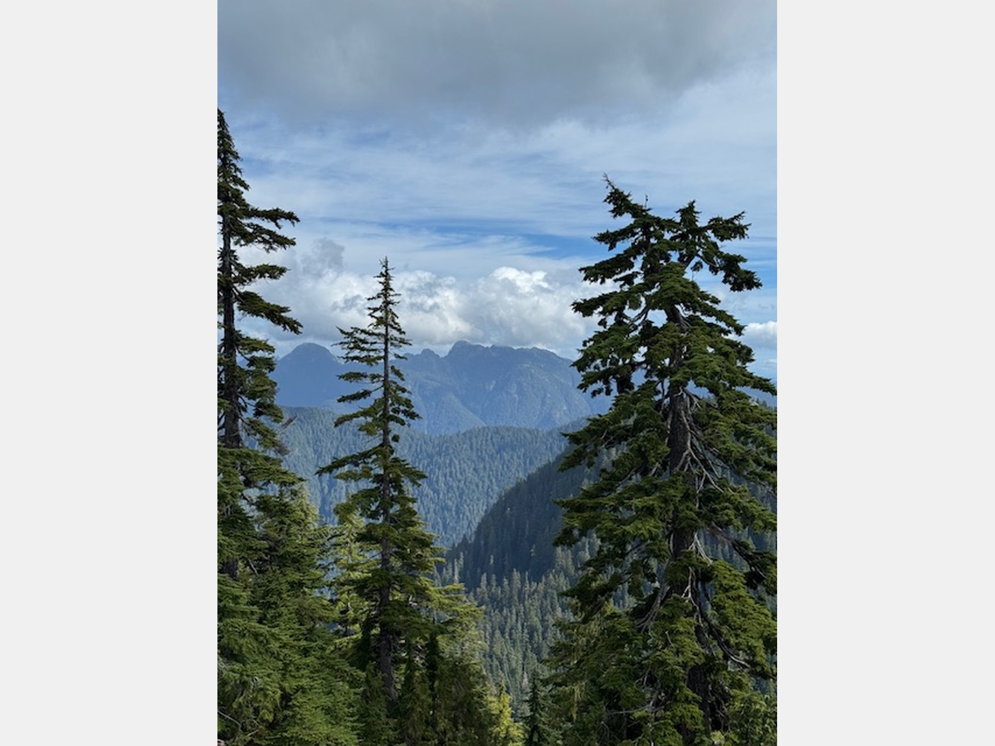 Image from University of Victoria