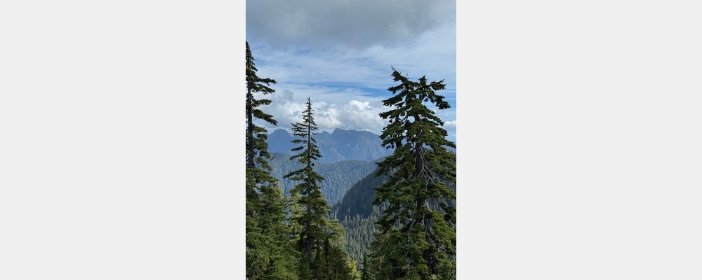 Image from University of Victoria