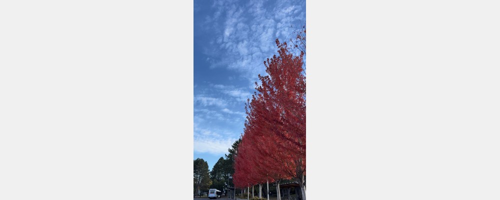 Image from University of Victoria