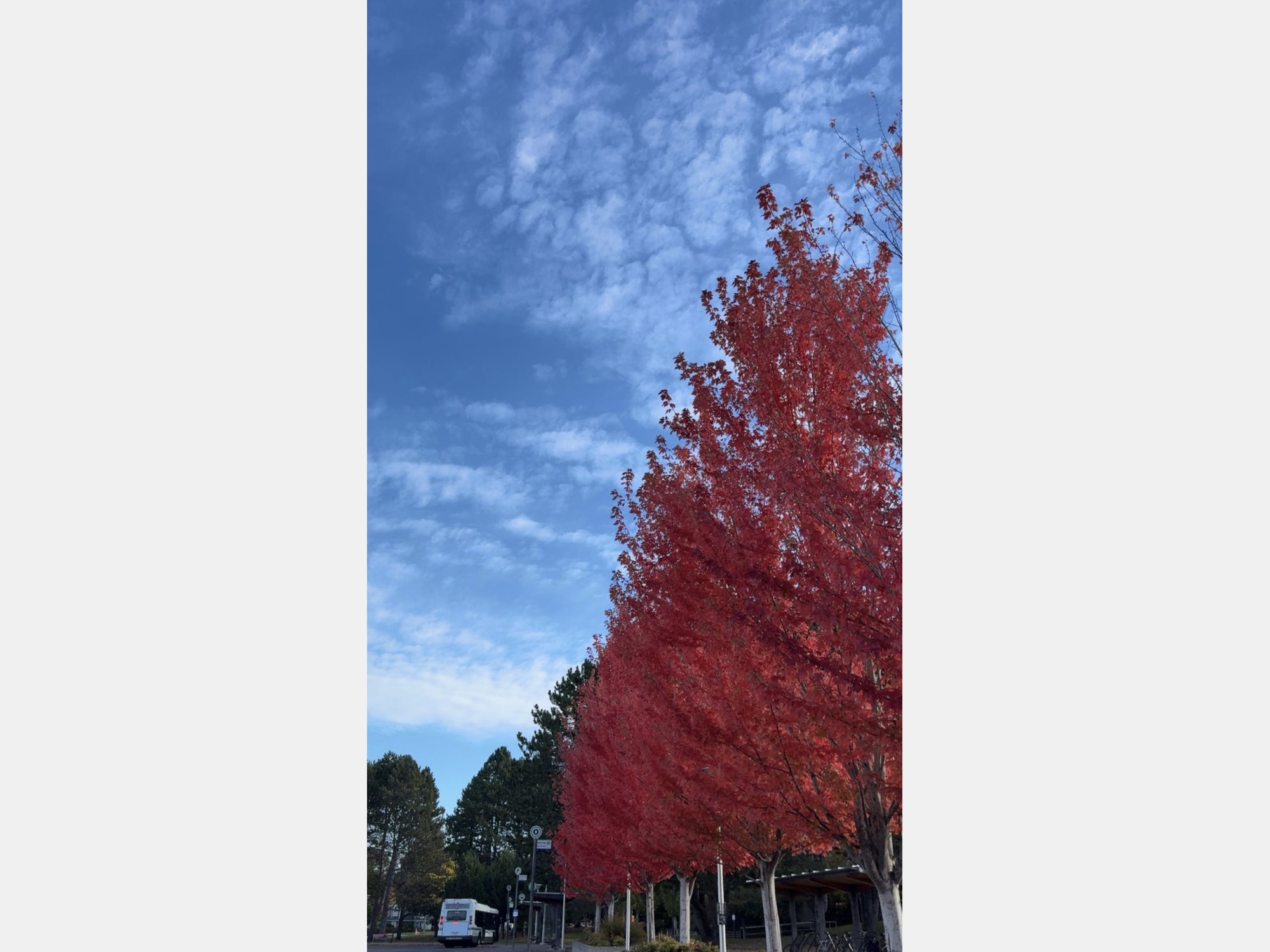 Image from University of Victoria