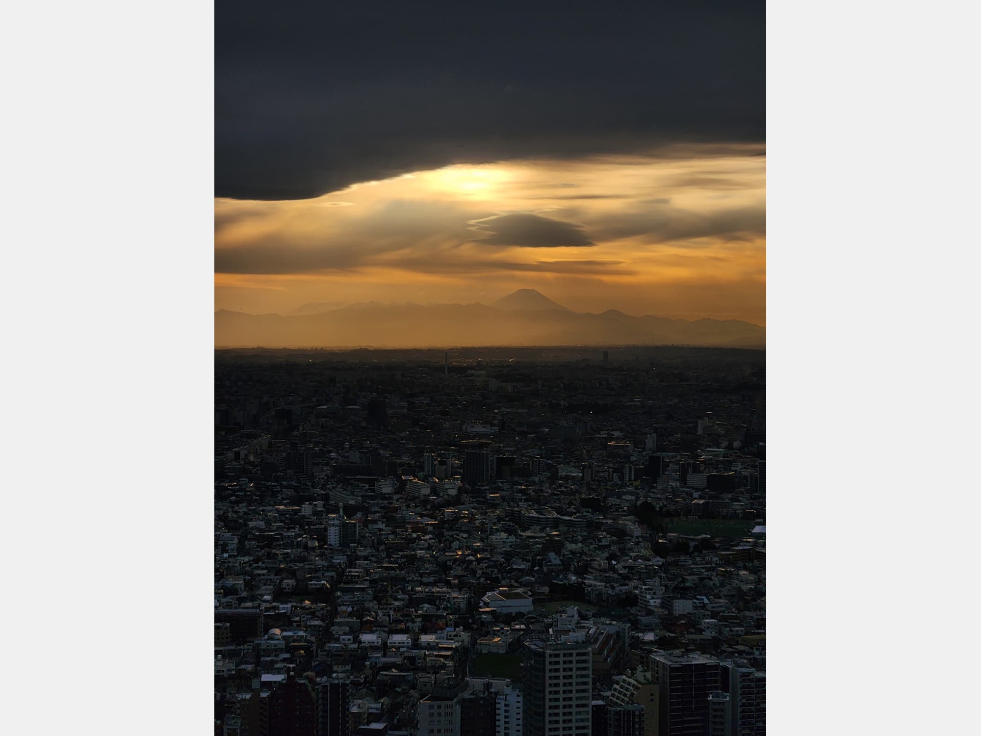 Image from Keio University