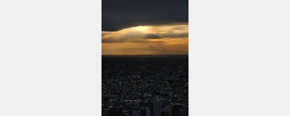 Image from Keio University