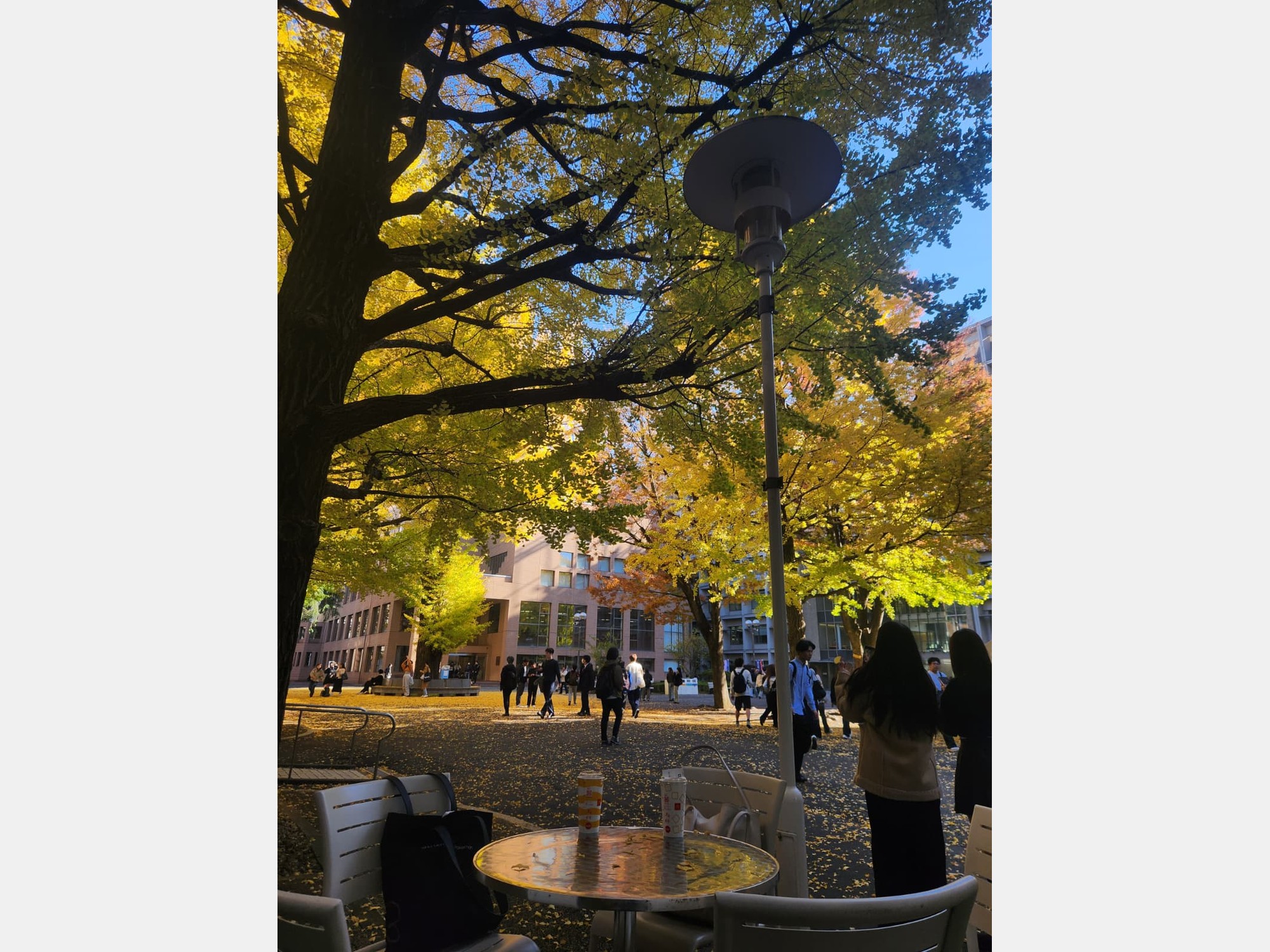Image from Keio University