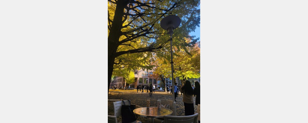 Image from Keio University