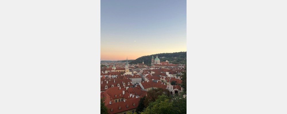 Image from Prague University of Economics and Business