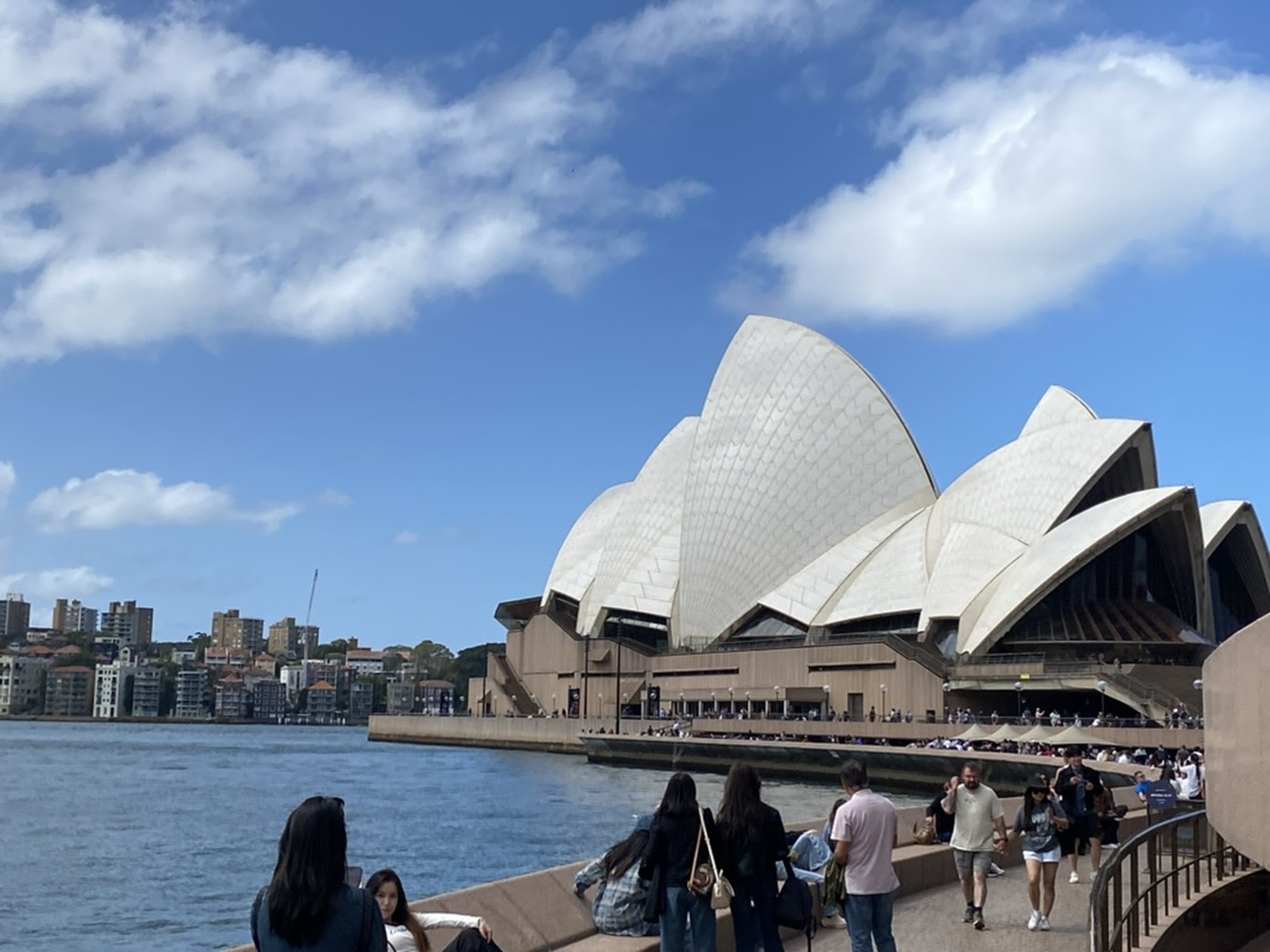 Image from The University of Sydney