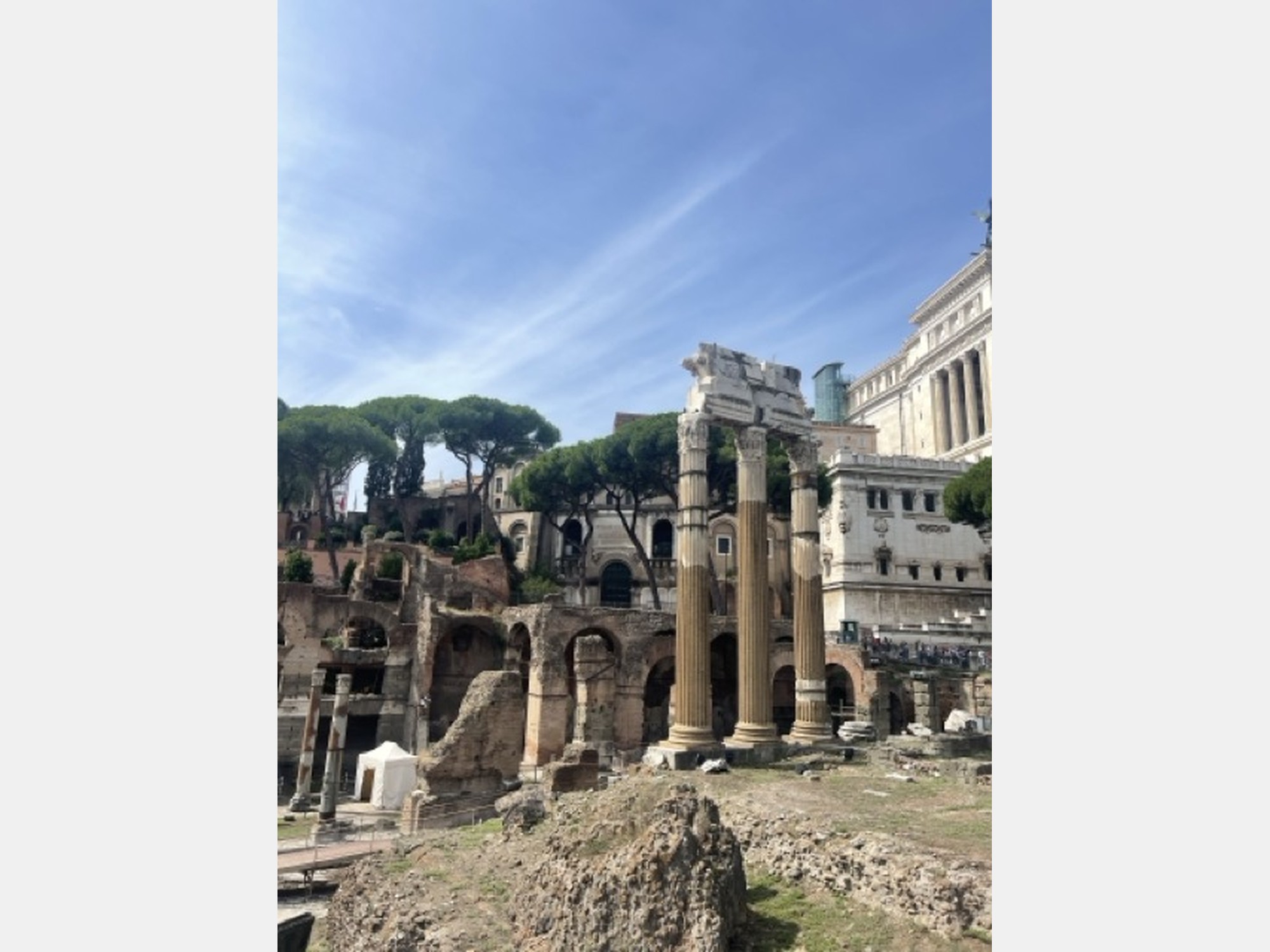Image from LUISS Guido Carli