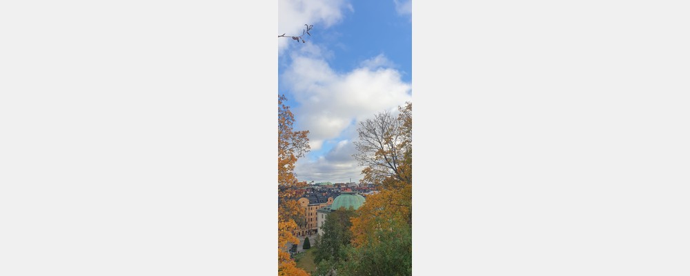 Image from Stockholm School of Economics