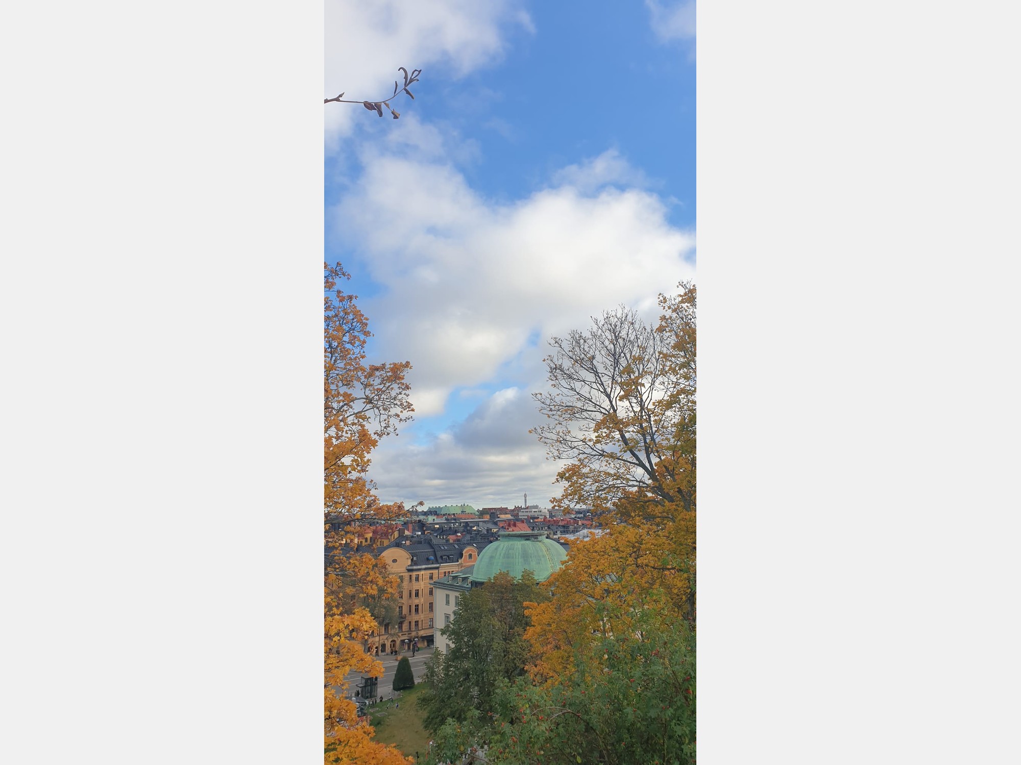 Image from Stockholm School of Economics