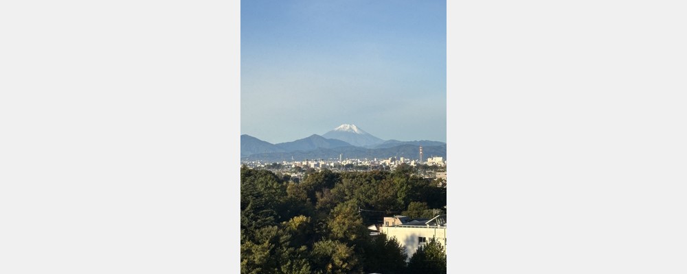 Image from Hitotsubashi University