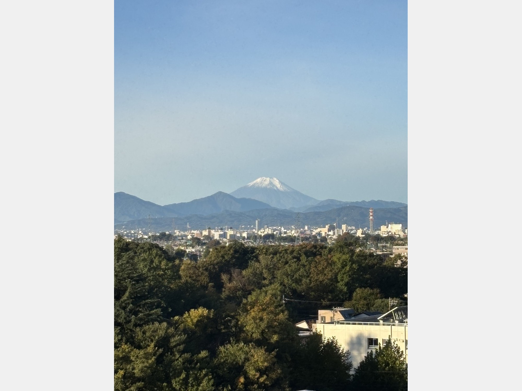 Image from Hitotsubashi University