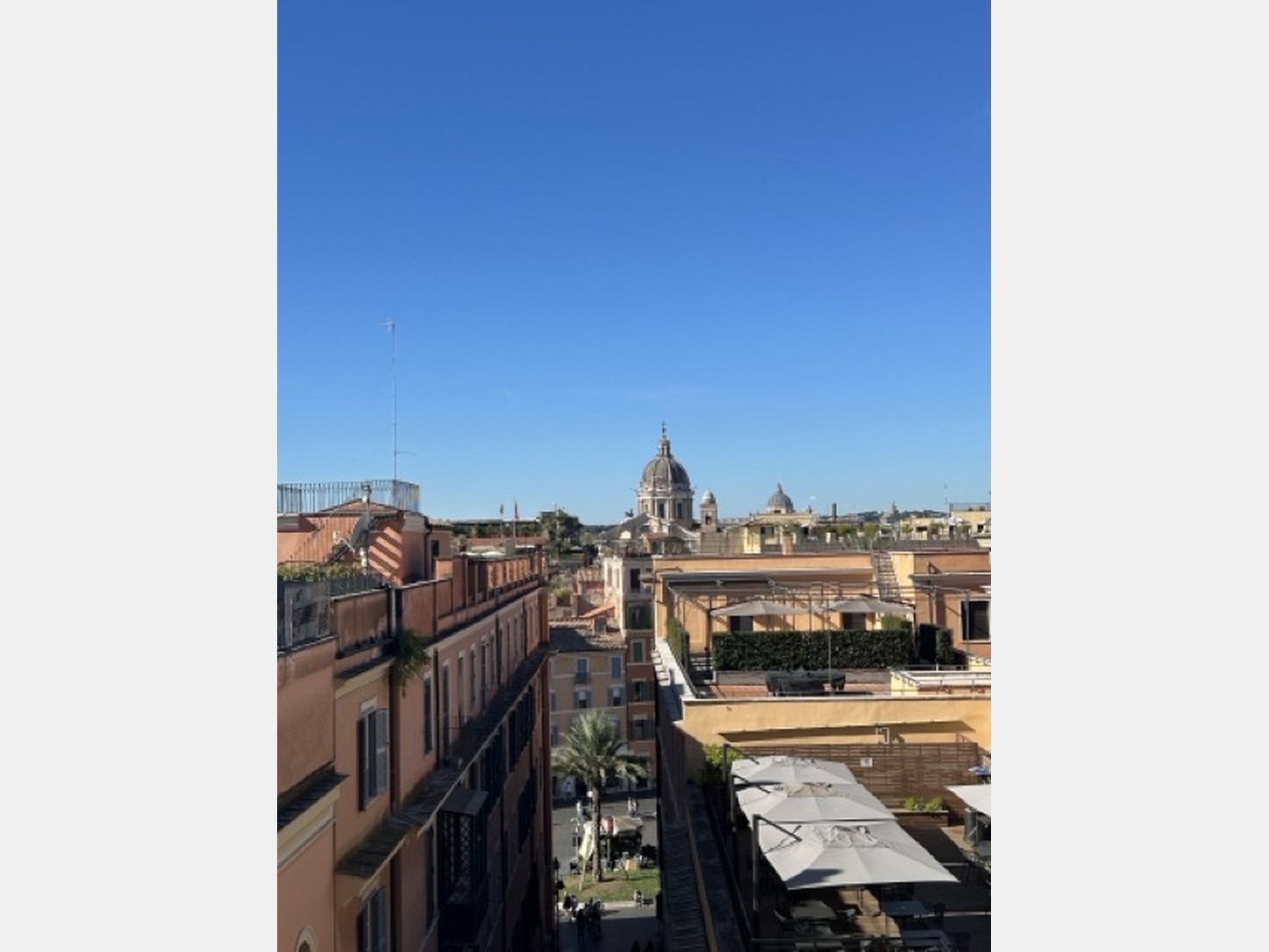 Image from LUISS Guido Carli
