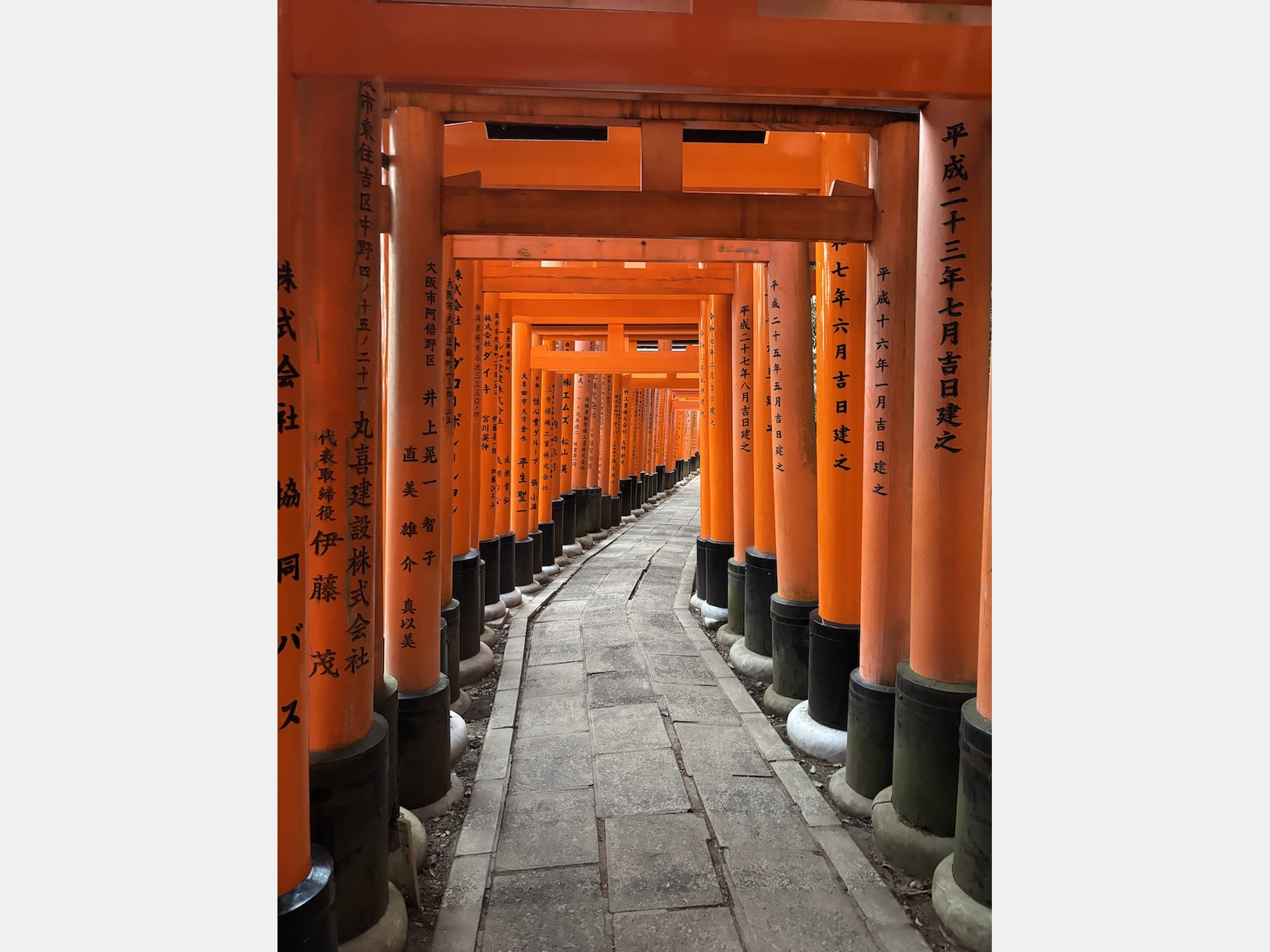 Image from Hitotsubashi University