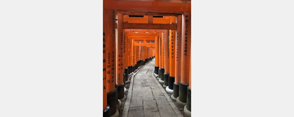 Image from Hitotsubashi University